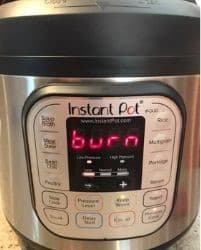 instant pot mistake burn notice