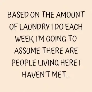 funny I hate laundry meme 