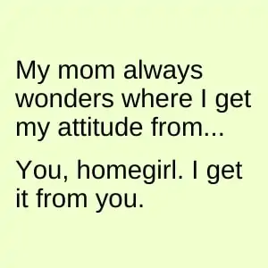 funny meme for mother's day about daughters inheriting their mothers' attitudes