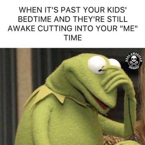 text over kermit the frog that says "When it's past your kids' bedtime and they're still awake cutting into your me time"