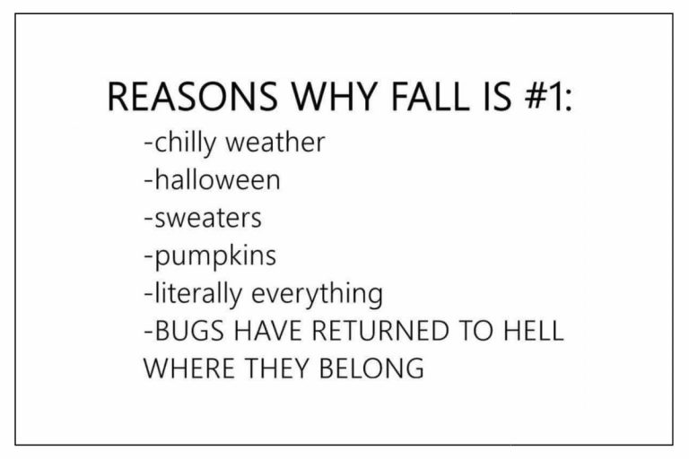 21 Hilarious Fall Memes to Crack You Up When The Seasons Change